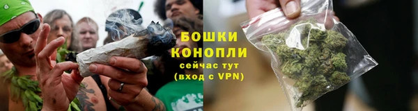 марки lsd Белокуриха